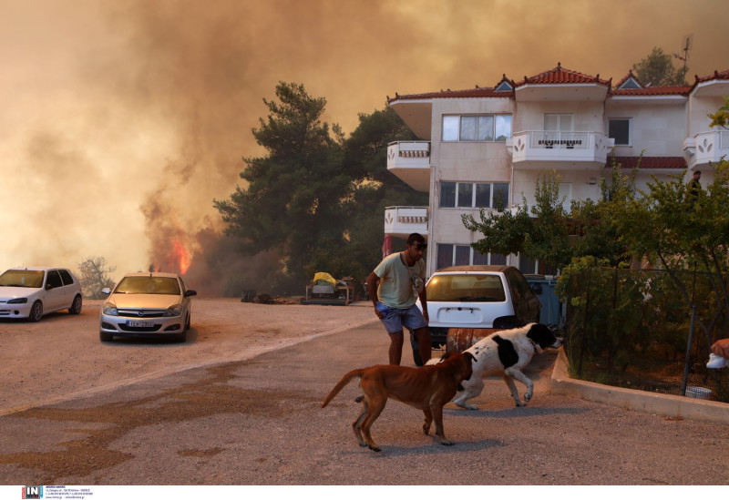 Πάρνηθα: Στον εθνικό δρυμό μπήκε η φωτιά, προς το καζίνο