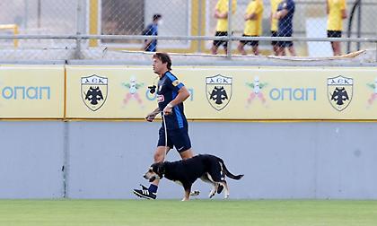 Προπόνηση με τον… Μαλέβο έκανε ο Αλμέιδα και η ΑΕΚ στα Σπάτα
