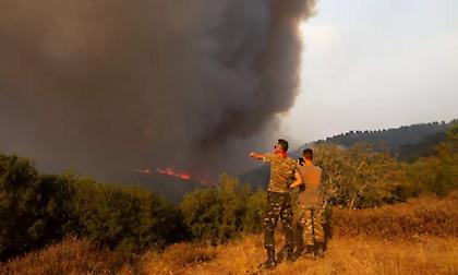 Τέσσερις προσαγωγές υπόπτων για εμπρησμούς σε Αυλώνα και Μενίδι