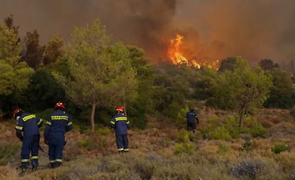 Εύβοια: Προσήχθη 17χρονος για εμπρησμό στα Ψαχνά - Τον κατέγραψε κάμερα