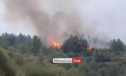 Μεσσηνία: Φωτιά τώρα στην Αγία Παρασκεύη - Δύο μέτωπα μεταξύ Λαδά και Καρβελιού
