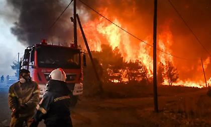 Σε 7 χρόνια κάηκε το 1/3 των δασικών εκτάσεων στην Αττική - Πάνω από 400.000 στρέμματα σε 12 μεγάλες