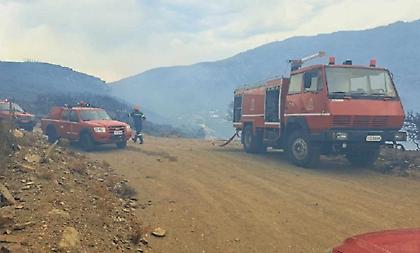 Κεραυνοί προκάλεσαν δύο φωτιές στην Άνδρο - 112 για εκκένωση στην περιοχή Γίδες