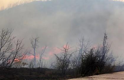 Μάχη για δέκατη μέρα με τις φλόγες στον Έβρο - Αγώνας να σωθεί τμήμα της Δαδιάς