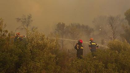 Αναζωπυρώσεις σε Eβρο και Ροδόπη - 74 πυρκαγιές πανελλαδικά
