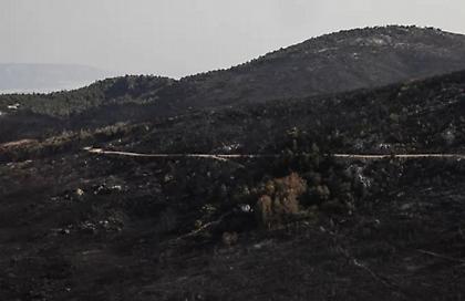 Αποκαρδιωτικές εικόνες από την καμένη Πάρνηθα - Θλίψη από το μέγεθος της καταστροφής