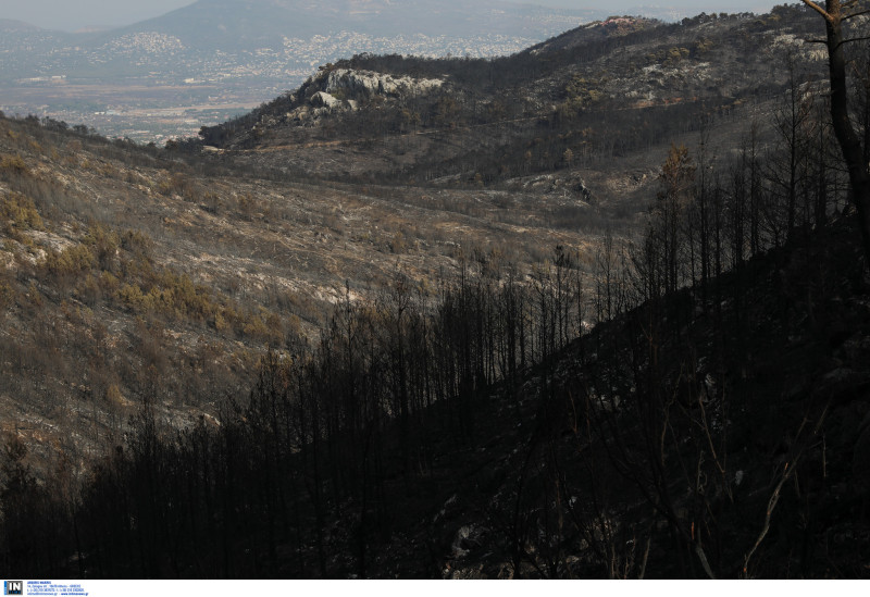 Αποκαρδιωτικές εικόνες από την καμένη Πάρνηθα