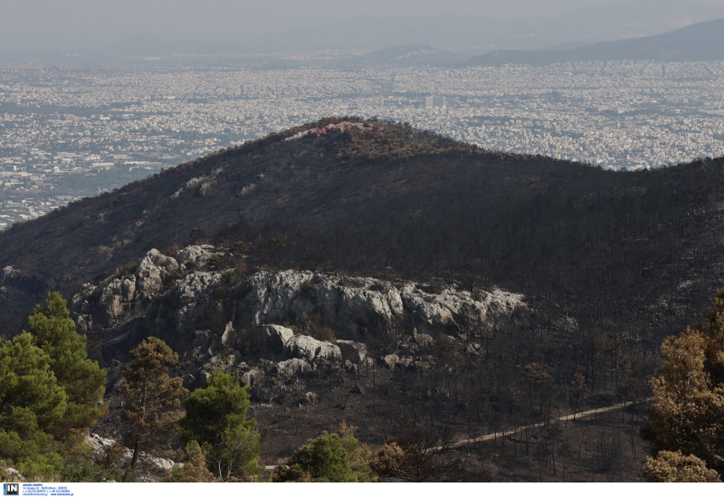 Αποκαρδιωτικές εικόνες από την καμένη Πάρνηθα