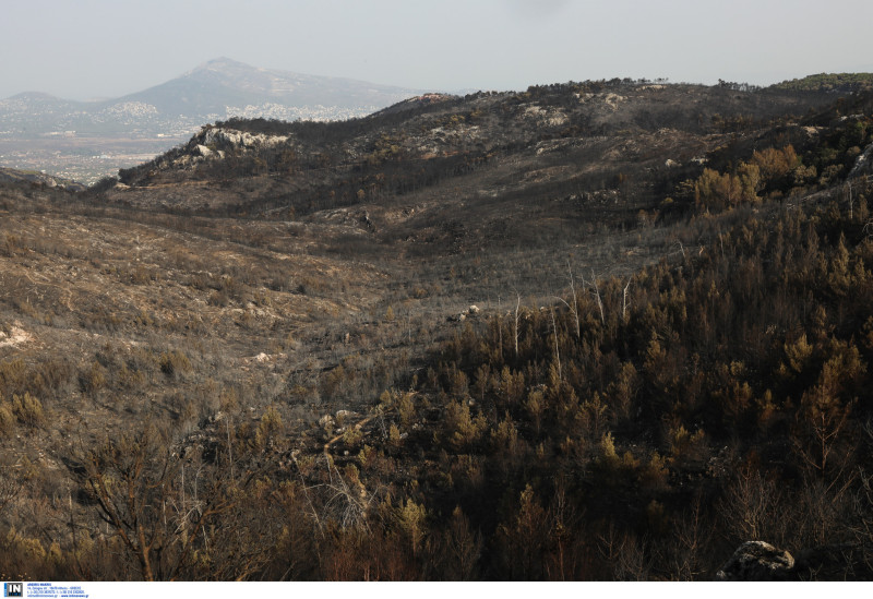 Αποκαρδιωτικές εικόνες από την καμένη Πάρνηθα