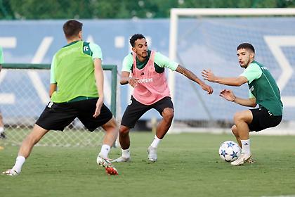 Παναθηναϊκός: Στροφή στα Γιάννενα - Χωρίς δυο η προπόνηση