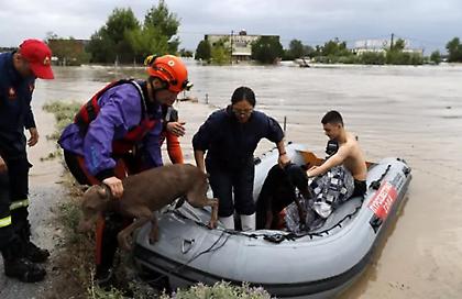Σε κατάσταση έκτακτης ανάγκης οι δήμοι Μαγνησίας, Τρικάλων και Καρδίτσας