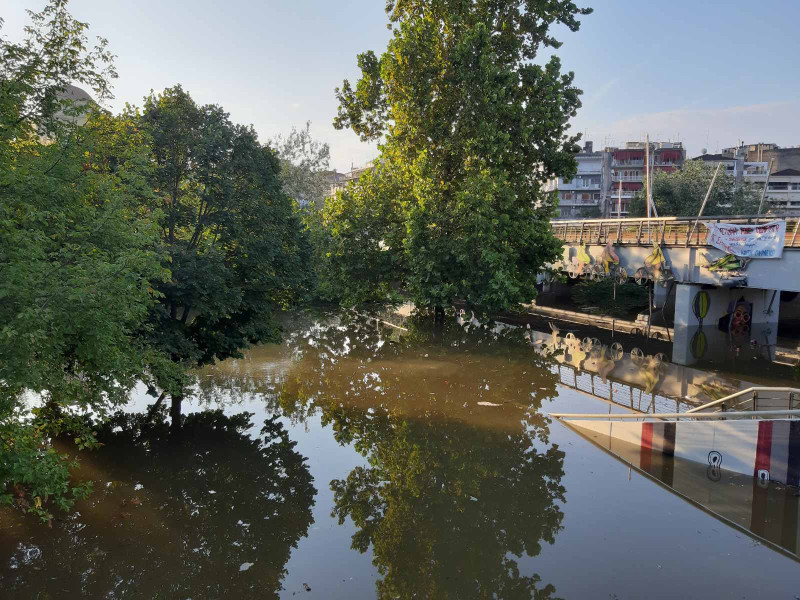 Καλύφθηκαν όλα στην εσωτερική κοίτη του Πηνειού στη Λάρισα