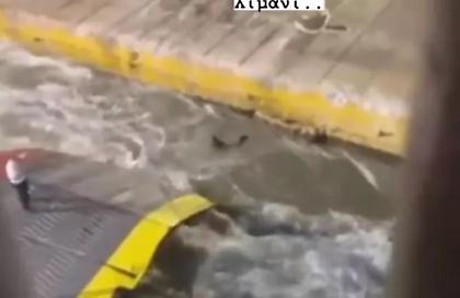 Πλοίαρχος Blue Horizon μετά τη δολοφονία Αντώνη: «Πάτε καλέ ρε; Τι έγινε;»