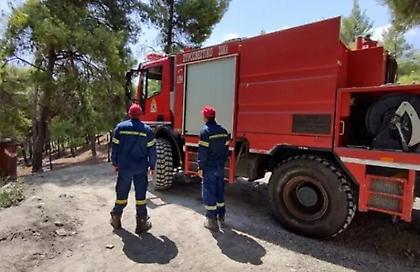 Ηλεία: Θρίλερ με άντρα που βρέθηκε απανθρακωμένος μέσα σε αυτοκίνητο