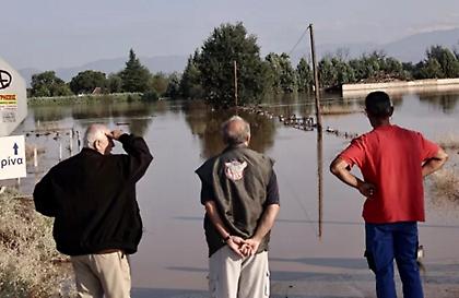 Λάρισα: Κτηνοτρόφος μπήκε με βάρκα στη μονάδα του και αντίκρισε 800 πνιγμένα πρόβατα