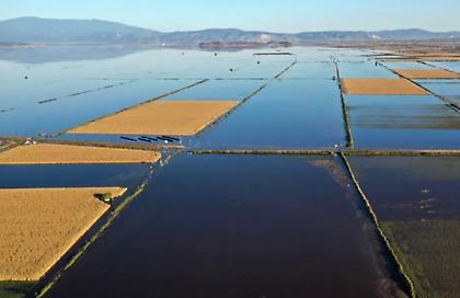 Συναγερμός για την υπερχείλιση της λίμνης Κάρλα - Ορατή η απειλή για ακόμη μεγαλύτερες πλημμύρες
