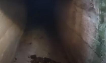 Ρέμα στην καρδιά της Αθήνας διασχίζει υπόγεια, αυλές και πιλοτές!