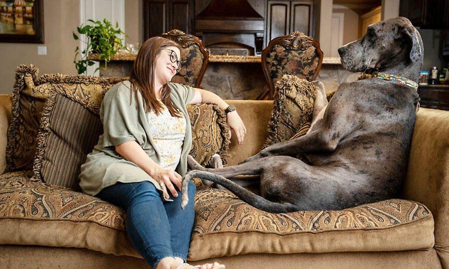 Πέθανε σε ηλικία τριών ετών ο ψηλότερος σκύλος του κόσμου