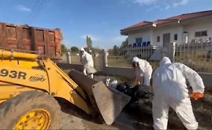 Στη Θεσσαλία οι Ένοπλες Δυνάμεις για την αποκομιδή νεκρών ζώων