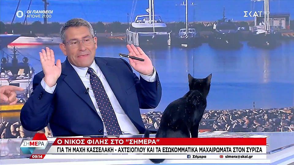 Μία… γάτα «μπούκαρε» στο στούντιο του ΣΚΑΪ