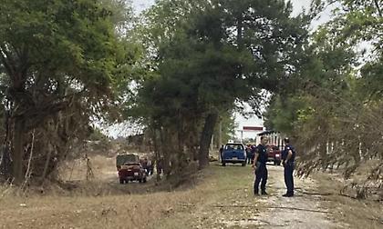Πυροσβεστική: 10.495 κλήσεις έχει λάβει το Κέντρο Επιχειρήσεων στη Θεσσαλία