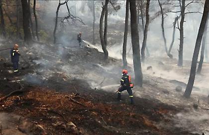 Φωτιά σε δασική έκταση στους πρόποδες του Υμηττού