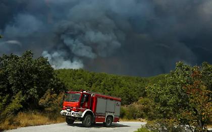 Πυρκαγιά στα Παγούρια Ροδόπης - Επιχειρούν 20 πυροσβέστες και ένα αεροσκάφος