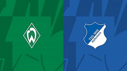 Βέρντερ Βρέμης-Χόφενχαϊμ