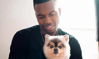 Ένταλμα σύλληψης εις βάρος του Στάριτζ για οφειλές στον άνθρωπο που βρήκε το σκυλί του!