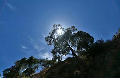 Αίθριος ο καιρός σήμερα Δευτέρα