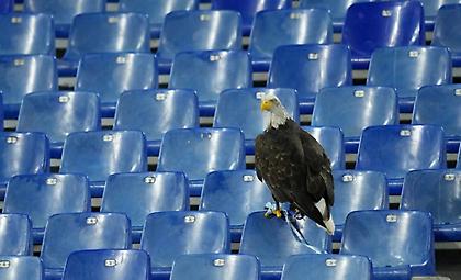 Ο αετός της Λάτσιο έχασε τον… δρόμο και προσγειώθηκε δίπλα στην κερκίδα των φιλοξενούμενων