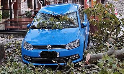 Κατολισθήσεις σε Κόνιτσα, Τζουμέρκα και Πωγώνι λόγω κακοκαιρίας - Πτώσεις δένδρων στο Μέτσοβο
