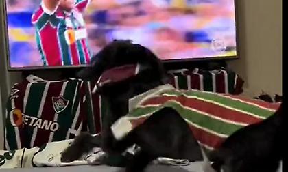 Σκύλος «οπαδός» της Φλουμινένσε… αφηνίασε στο «χρυσό» γκολ του Κένεντι!