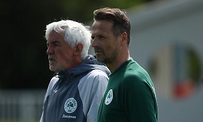 Παναθηναϊκός: «Χτενίζει» την αγορά μόνο για στόπερ ενόψει Ιανουαρίου