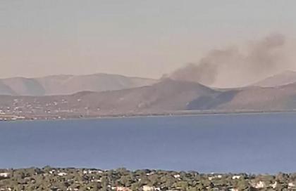 Φωτιά στον Σχοινιά, δίπλα στο κωπηλατοδρόμιο
