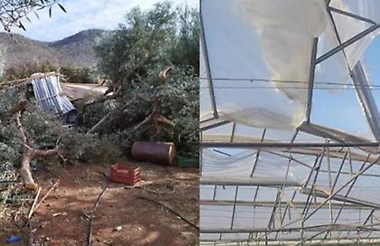 Ανεμοστρόβιλος «χτύπησε» τα Φαλάσαρνα Κισσάμου: Ζημιές σε θερμοκήπια, ελιές και καταστήματα
