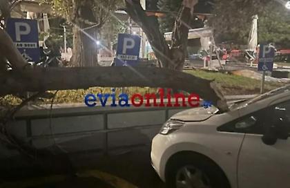Η κακοκαιρία Bettina χτύπησε την Εύβοια: Μεγάλες καταστροφές σε μαγαζιά στη Χαλκίδα