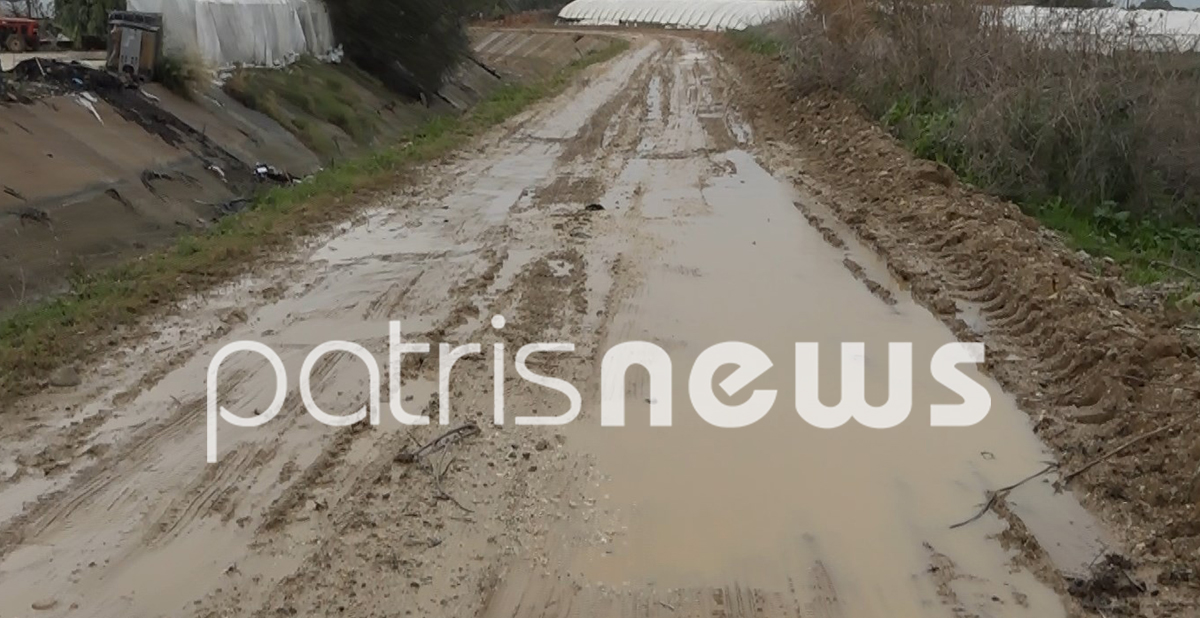 Μαθητής σε χωριό της Ηλείας δεν πάει σχολείο γιατί ο δρόμος είναι αποκλεισμένος