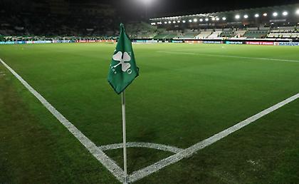 Νικολογιάννης: «Ο Παναθηναϊκός πάντα ήταν, είναι και θα είναι κατά της βίας»