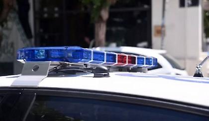Άγριο έγκλημα στον Βόλο: Πυροβόλησαν και σκότωσαν αδέσποτη σκυλίτσα