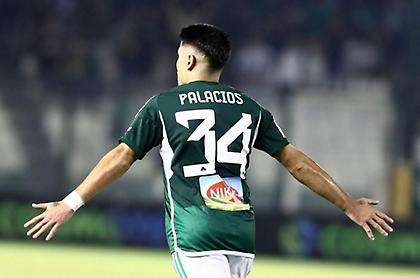 Αθανασίου: «Μέσα στις κορυφαίες μεταγραφές της 10ετίας για τον Παναθηναϊκό ο Παλάσιος»