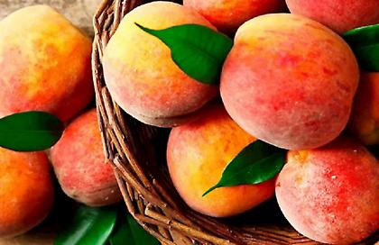 Δύο ελληνικά φρούτα στα δέκα καλύτερα του κόσμου – Το ένα μάλιστα στην κορυφή!