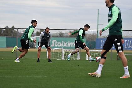 Έμφαση στην τακτική, γεμάτο το «οπλοστάσιο» του Παναθηναϊκού ενόψει Μακάμπι Χάιφα