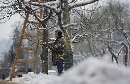 Σαρώνει ο χιονιάς στην Κίνα: Έκλεισαν όλα τα σχολεία στο Πεκίνο - Στους -18 ο υδράργυρος