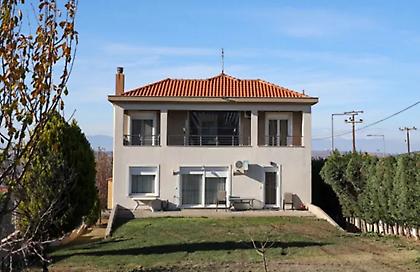 Στον ανακριτή σήμερα ο 37χρονος ιδιοκτήτης των σκύλων που κατασπάραξαν 50χρονη μητέρα