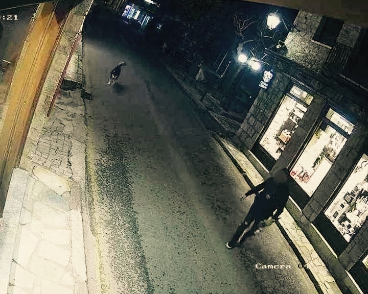 Αράχωβα: Σε φωτογραφίες φαίνεται το Χάσκι να ακολουθεί έναν ύποπτο που κρατά ομπρέλα