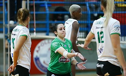 Live Streaming: Πρωταθλητές Πεύκων-Παναθηναϊκός