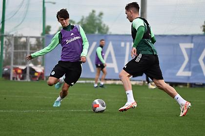 Παναθηναϊκός: Με Βέρμπιτς και… πολλά προβλήματα η προπόνηση της Δευτέρας