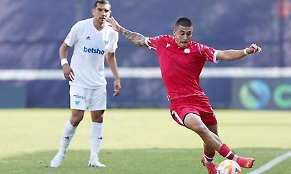 Κοζάνη-Λεβαδειακός