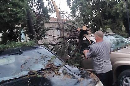 Λέσβος: Πτώσεις δέντρων και ζημιές σε αυτοκίνητα από την κακοκαιρία - Επί ποδός η πυροσβεστική